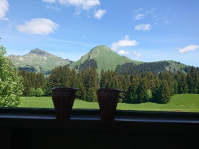 Studio à la montagne - Le Praz de Lys